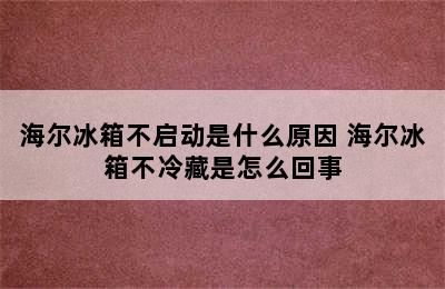 海尔冰箱不启动是什么原因 海尔冰箱不冷藏是怎么回事